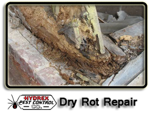 Termite Inspections Sacramento, CA